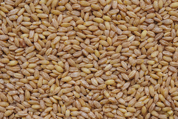 background texture grits pearl barley