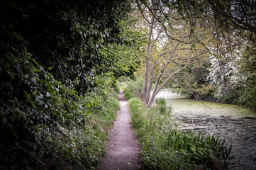 cold canal