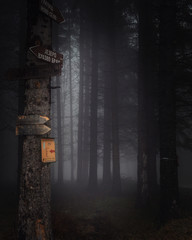 wooden signpost for hikers 