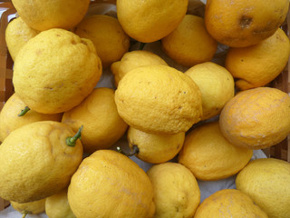 Limoni del giardino