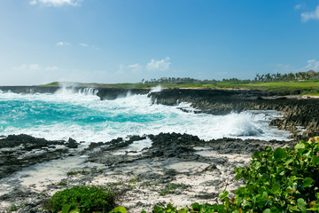 
Sea Caribbean landscape in Dominican republic with palm trees, sandy beach, green mountains, rocks, blue sky and turquoise water 