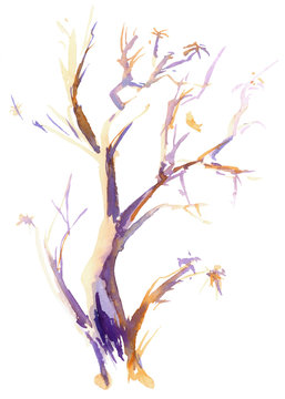 Bright branch. Violet-orange, sunset lighting, colored tree. Hand drawn sketch. Watercolor illustration