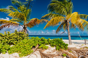 shoal bay, dream beach in the Caribbean sea with white sand and turquoise sea jewel island of Anguilla