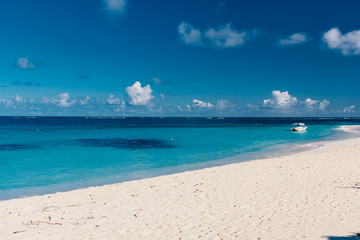 shoal bay, dream beach in the Caribbean sea with white sand and turquoise sea jewel island of Anguilla