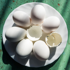 Many white whole eggs and one broken egg lie in a circle, in a white plate on a green background. Concept: don 't be like everyone else , be the first . Lots of white eggs and shells in the sun