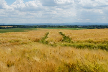 Landschaft