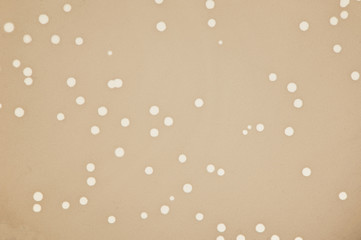 bacteriophage background