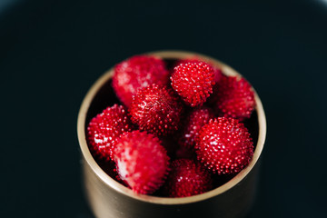 Indian Mock Wild Strawberries
