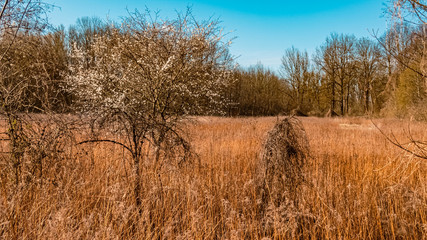 Beautiful pagan view near Zeholfing, Isar, Bavaria, Germany
