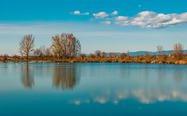 Naklejka na ściany i meble Beautiful view with reflections at a pond near Wallersdorf, Bavaria, Germany