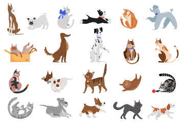 Cute funny cartoon domestic pets characters flat vector illustration. Different breed of cats and dogs walking, playing and posing.