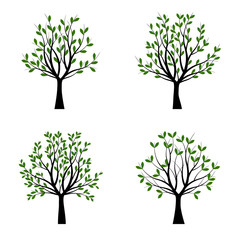 Set Green Trees with Leaves. Vector outline Illustration. Outline Tree, Plant in Garden.