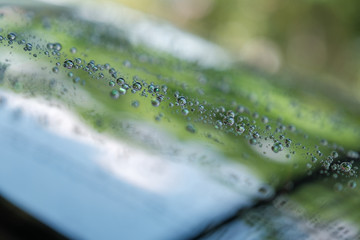 Water droplets on the windsreen after washing the car. Water droplets on the glass. Water droplets isolated on background. Abstract and Blur water droplets background.