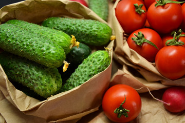 Fresh vegetables from farmers market. Cucumbers, tomatoes, radish. Pickle cucumbers. Organic vegetables. Salad ingredients.