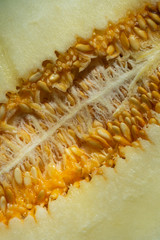 Top view of open green melon, with seeds, in vertical