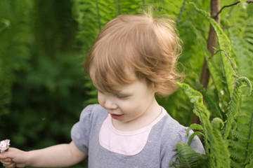 Naklejka na ściany i meble little emotional girl smiling playing in beautiful green thickets of fern, hiding behind large leaves. girl playing hide and seek in beautiful thickets. happy childhood