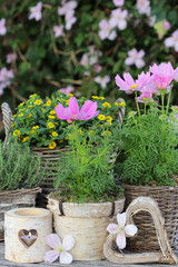 rustikale Gartendekoration mit Sommerblumen und Laterne