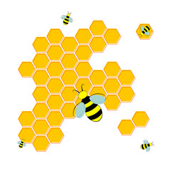 bees and honeycombs. Vector illustration. Flat style