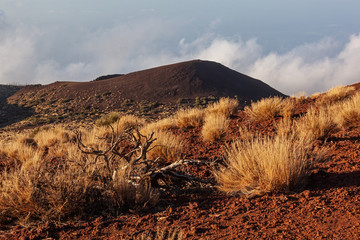 Red volcanic landscape in the Teide national park in Tenerife, Canary Islands, Spain