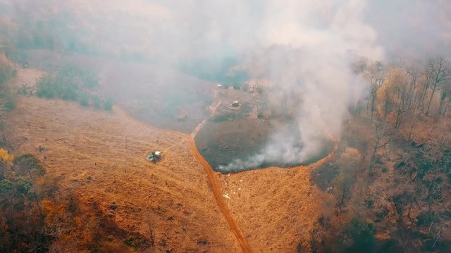 Global warming crisis. Slash and burn agriculture. Climate change, deforestation. Footage 4k