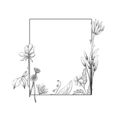 Rectangular frame with graphic flowers and leaves, floral frame on white isolated background