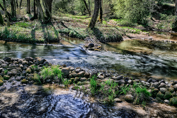 river in the woods