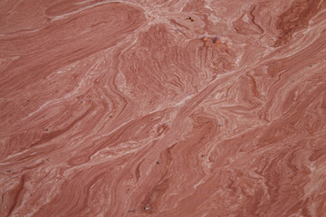 CLOSE UP: Filth and blooming microbacteria color a polluted pond light brown.