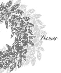 Vector illustration.Flower decoration of peonies. prints on T-shirts. background white,card for you.Handmade