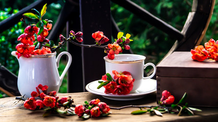 red quince flowers and white porcelain teaset on a wooden cut in a spring garden