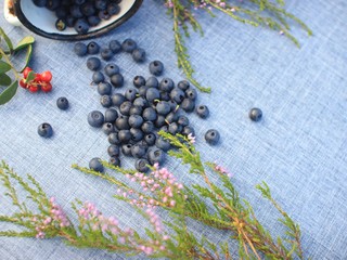 Scattering of ripe juicy blueberries, white metal cup and wind flowers on a blue table.Fruits and berries, vegetarian and healthy eating concept.Beautiful summer background.Top view with copy space.