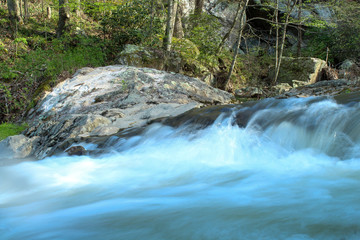 waterfall in the forest