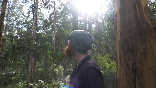 A slow motion orbit shot around a bearded bushman while he stands in an Australian forest by stringy bark eucalyptus trees.