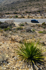 Agave, yucca, cacti and desert plants in a mountain valley landscape in New Mexico,