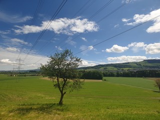 high voltage power lines