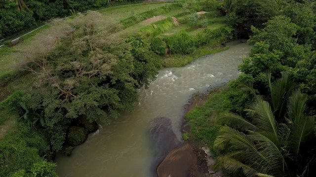 aerial footage by drone Beautiful scenery looks rice fields and rivers