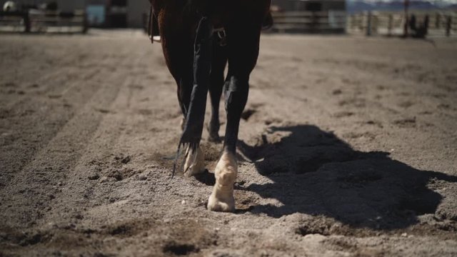 Horse walking in slow motion, in a dirt arena.