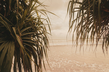 Tropikalna plaża o zachodzie słońca.