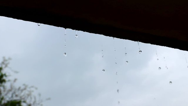 Rain Drops falling from shade slow motion.