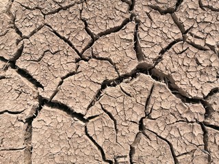 dry cracked earth