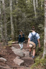 A group hike in the forest 