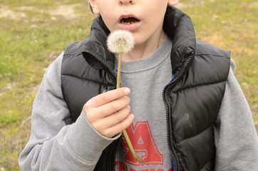 
Spring. Family holiday. The boy blows out a white fluffy dandelion.