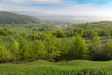 Fototapeta premium Colorful hills covered forest in fog