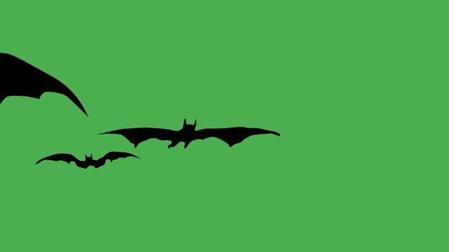 Flat style animation side view of bat flying against green background. Seamless loop background.