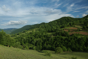 Green mountainsides with trees and a vegetable garden under a blue cloudy sky. Carpathian. Carpathian mountains.