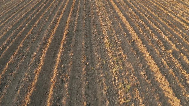 slow areal showing wheat farm in germany