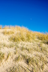 Dunes in the morning sunlight. Grasses grow on the hilltops. In the blue sky, white clouds move to...
