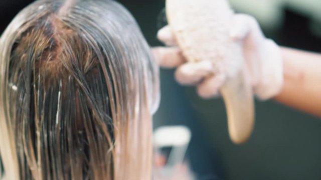 Woman having hair color applied to hair to lighten and make more stylish. Salon customer hair being brushed to spread color as part of stylist treatment. Pampering, relaxation at resort spa hair care.