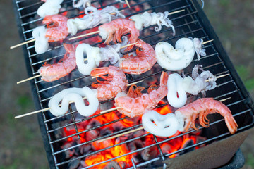 Seafood on the grill. Shrimp, squid, octopus. Gifts of the sea. Healthy food. Hot food. Picnic with friends.