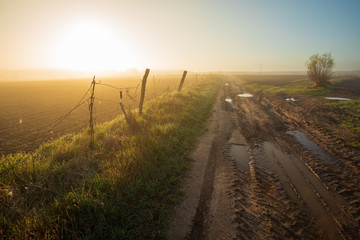 Beautiful sunset over the green large field