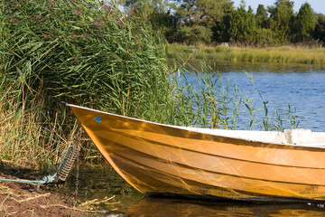 Gelbes Boot liegt am Ufer eines Sees vor grünem Schilf